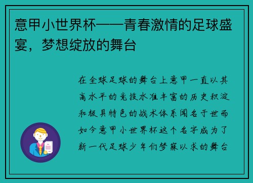 意甲小世界杯——青春激情的足球盛宴，梦想绽放的舞台