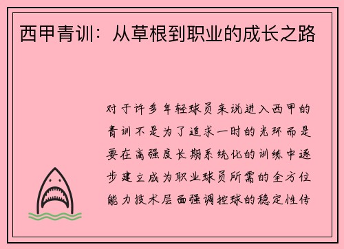 西甲青训：从草根到职业的成长之路