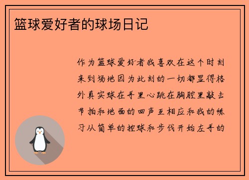 篮球爱好者的球场日记